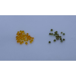Orange Silikagel (orange - gr&uuml;n/blau)